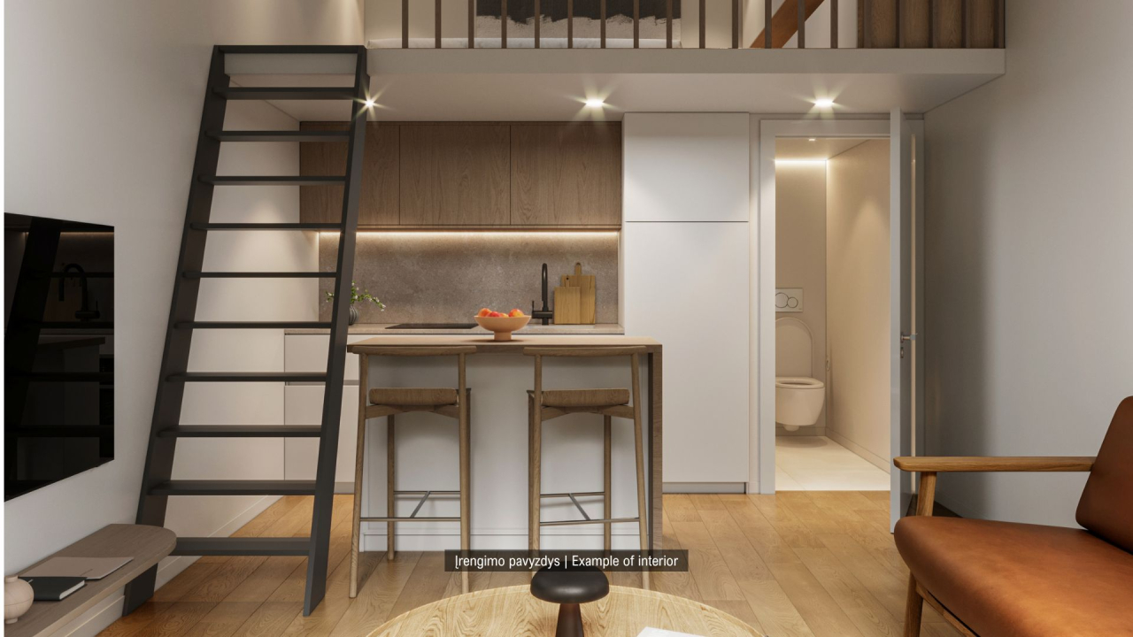 46 Lofts, Kaunas III - 3
